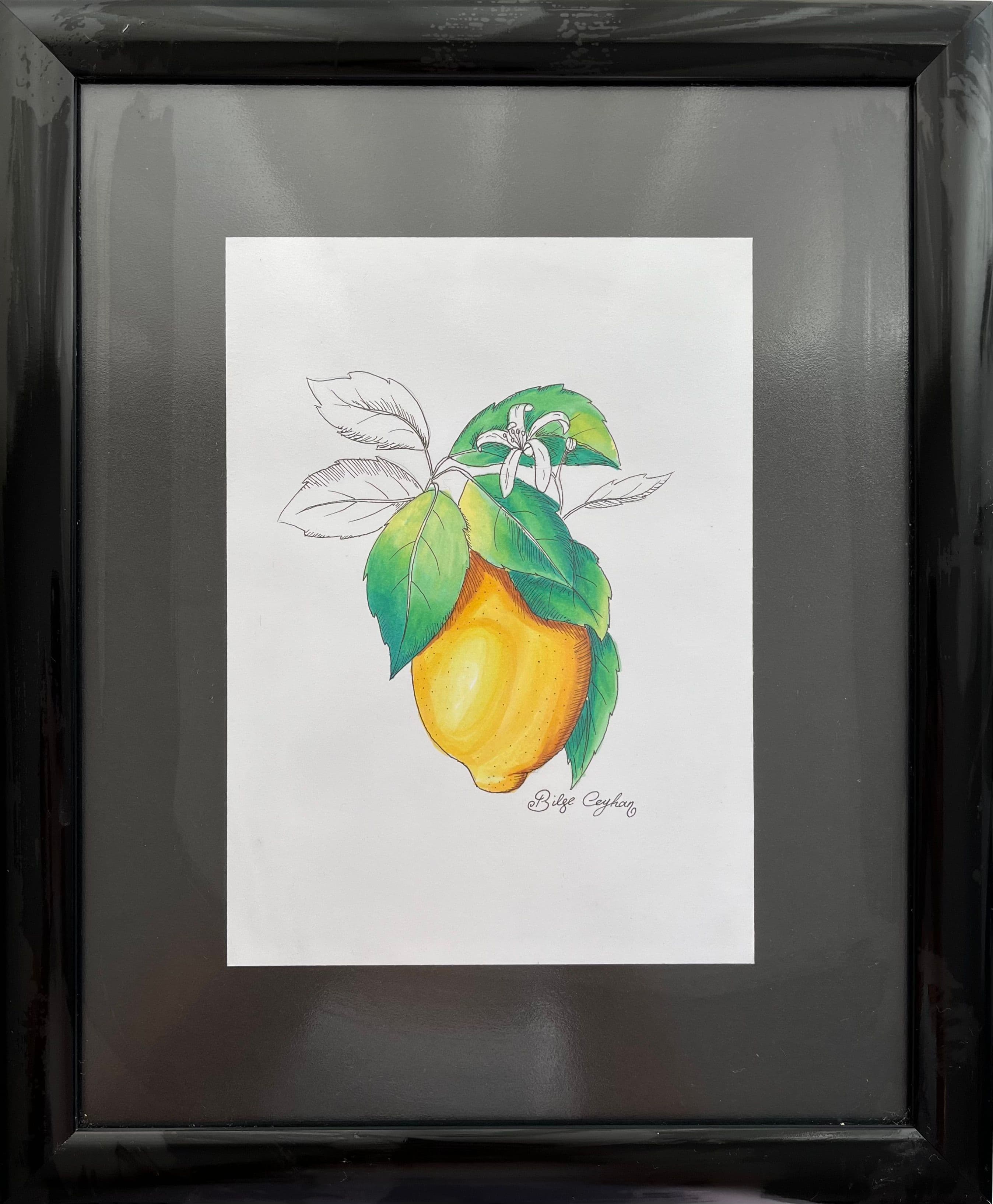 Limon